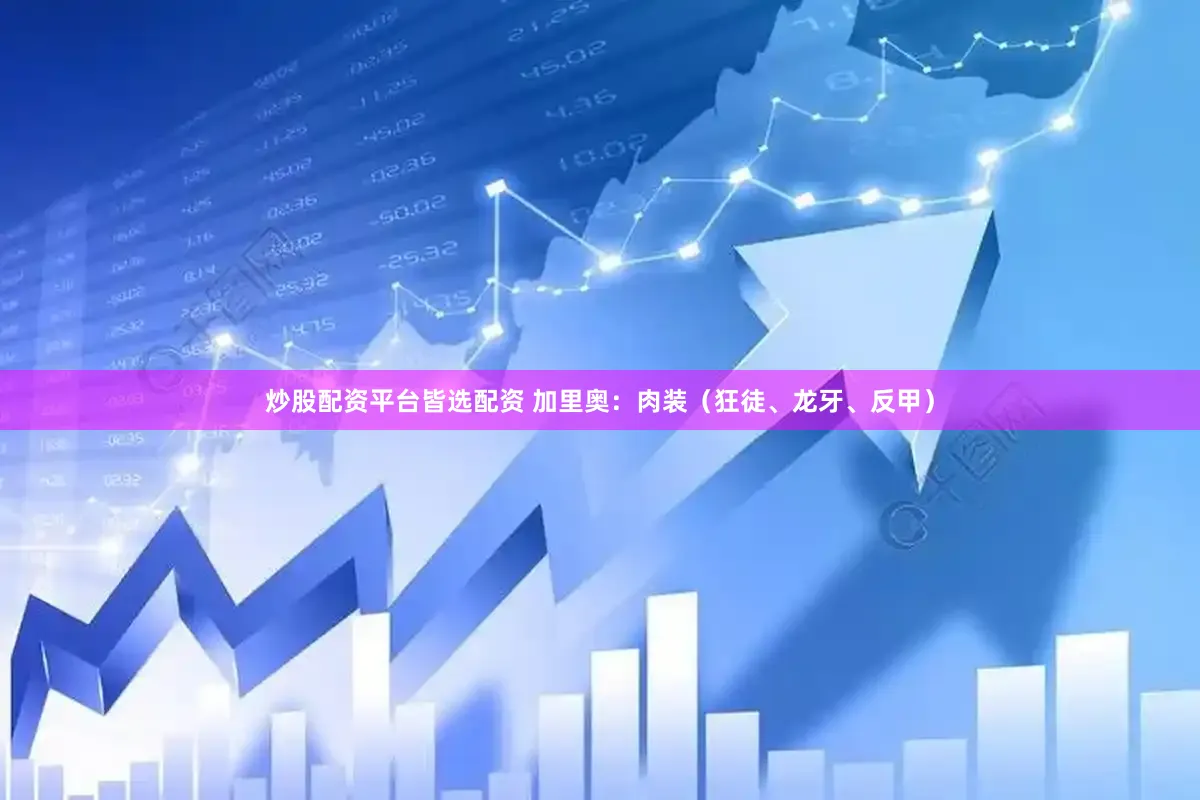 炒股配资平台皆选配资 加里奥：肉装（狂徒、龙牙、反甲）